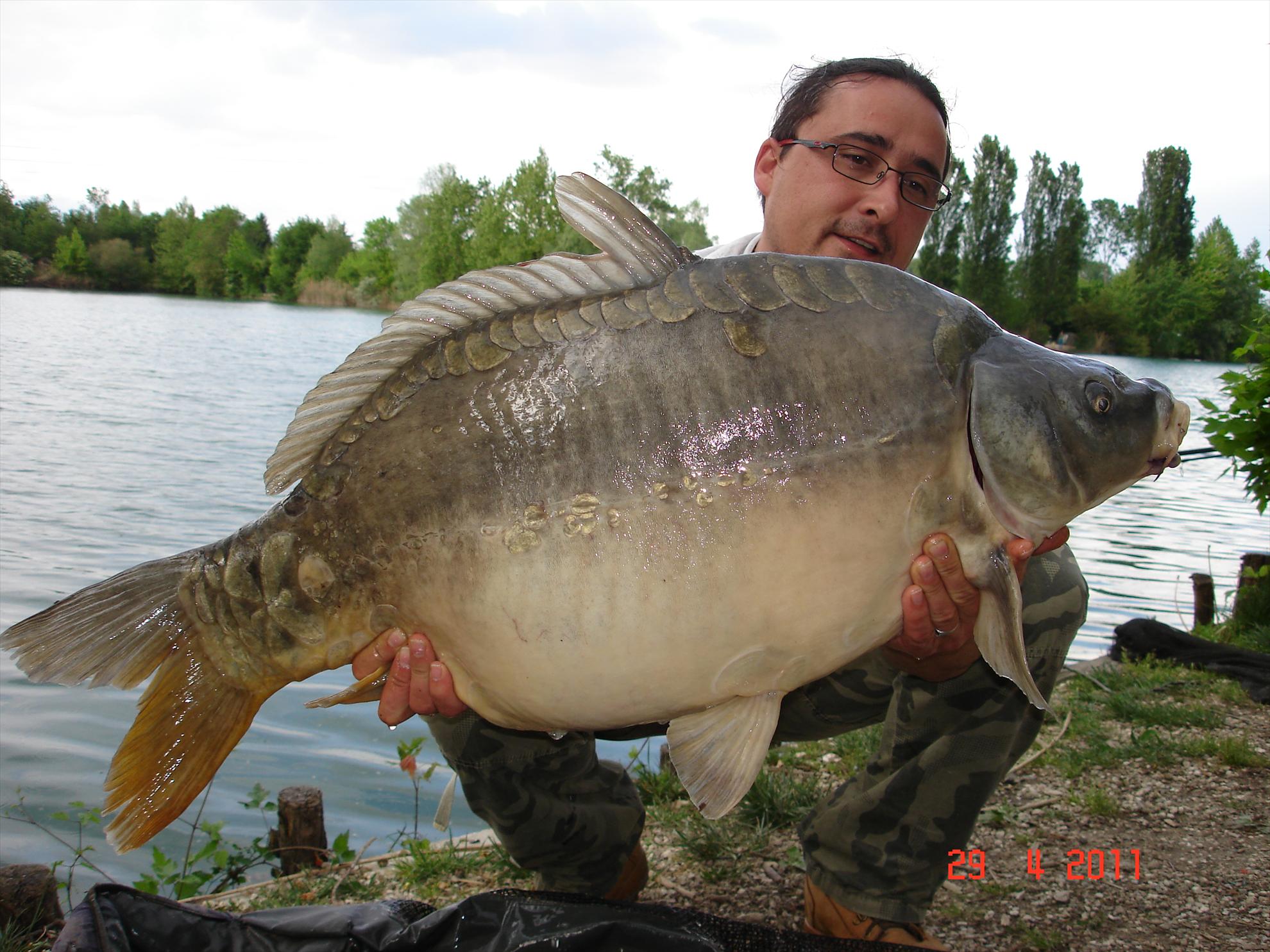 THE BIGS OF 2011 - p1000097.JPG